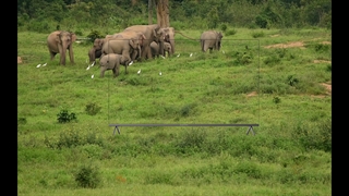 تلویزیون ال ای دی التتو - Eletto