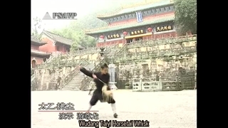 فرم سنتی دم اسب سبک وودانگ چوان