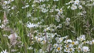 بیاین ظاهرمون رو توصیف کنیم