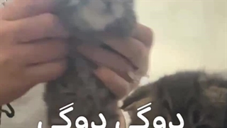 یواش یواش سلولولینگ راگناروک داره میاد❤️‍