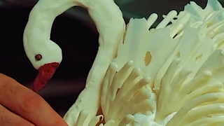 مهارت های متخصص ارتودنسی | دکتر داودیان