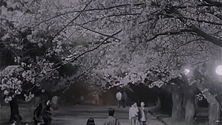 میکس سریال دونده دوست داشتنی