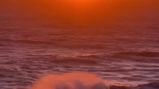 زبون طبیعت و زمین>>>>