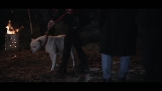 دانلود قسمت هشتم سریال زخم کاری