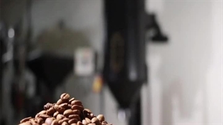 آسیاب قهوه صنعتی اسوه 09138900047