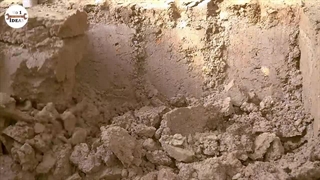 ترکیبی باورنکردنی خانه سگ و آکواریوم از سیمان