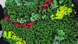 دیوار سبز برای فروشگاه