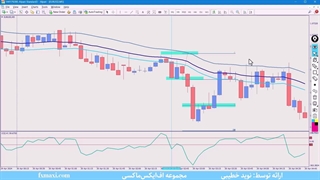 آموزش استراتژی صد در صد طلا – بررسی استراتژی اسکالپ 1 دقیقه ای | ویدئو 491