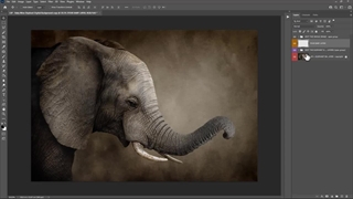 بکدراپ عکاسی نوزاد