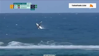 مهمان ناخوانده المپیک؛ نهنگ پرنده در مسابقات موج‌سواری تاهیتی!