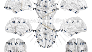 تغییر ارتباطات کارکردی مغز - مقایسه اشتراک گذاشتن و نگذاشتن