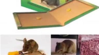 معرفی-دستگاه-وینرتک-دفع-موش