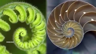 لانیاکیا در قلب تو چیست که همه را بسوی خود می کشد ؟؟؟؟؟