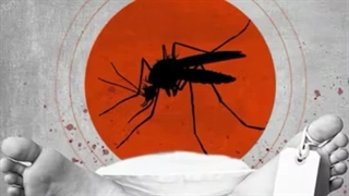 تب دنگی و پشه آئدس، محافظت و درمان راه‌های مقابله با خطر پشه  ببر آسیایی| قیمت و خرید اسپری ضد پشه آئدس 09126851758