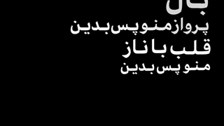 بال پرواز منو پس بدید قلب با ناز منو پس بدید