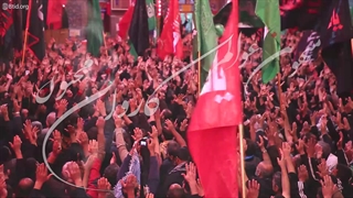 مداحی بی قرار اربعین - کاروان مجنون - اربعین حسینی