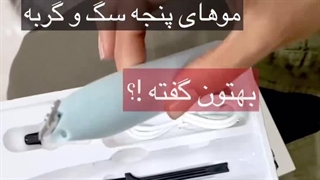 پت شاپ لی پت شیراز (خیابان نمازی) لیپوست