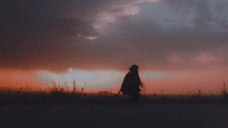 وقتی بود و نبودت برا کسی مهم نیست....