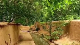 گردشگری - کارگزاری ساوآفرین