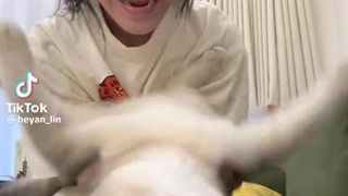 من‌اگه‌گربه داشتم: