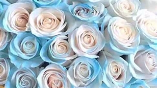 جلوگیری  اضافه شدن کانال در تلگرام