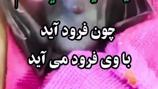 خلقت خفاش.امام علی(ع)