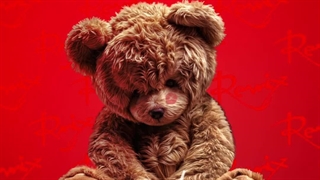 سیجل و سامی بیگی و بهزاد لیتو - برگرد (ریمیکس دیجی شوبیر)