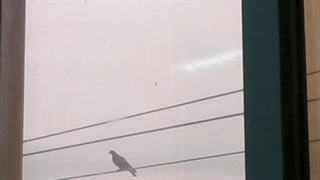 چالش معرفی کتاب