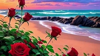 آهنگ دل دیوونه با صدای ماورایی و بهشتی رزیتا دغلاوی نژاد