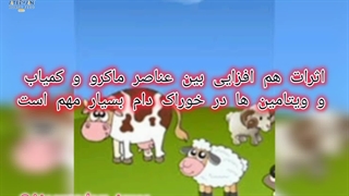 اثرات هم افزایی بین ویتامین ها و عناصر در خوراک دام