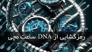 هر ساعت، یک داستان: کشف DNA پنهان در قلب ساعت مچی ها