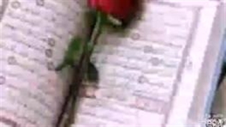 عجایب خلقت مگس در آیه ۷۴ حج(محسن شفیعی)