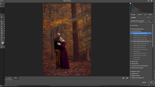 پریست های کمرا راو