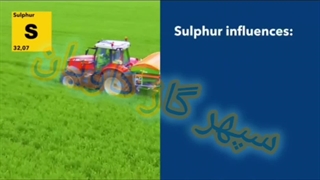 گوگرد در گیاهان-سپهر گاز کاویان