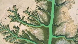 نمایی زیبا از خور غزاله بندرماهشهر(فیلم) آکنه