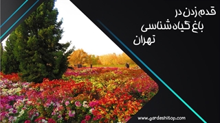 باغ گیاه شناسی تهران؛ بهشت روی زمین
