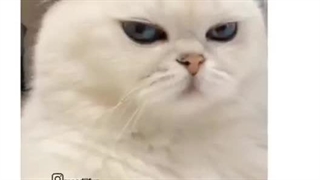 دخترا درسته؟ -_____- ، من تجربه ندارم:)