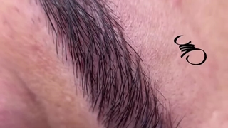 مرکز میکروبلیدینگ عسل علیزاده