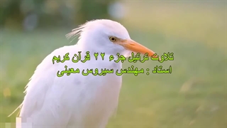 تلاوت ترتیل جزء 22 قرآن کریم توسط مهندس سیروس معینی