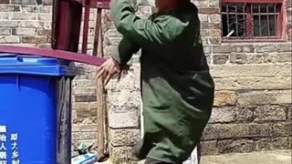 گونگ فو در همه جا