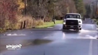 تنها جاده‌ای که تابلوی احتیاط کنید ماهی ها در حال عبور از جاده اند