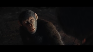 تریلر فیلم Kingdom of the Planet of the Apes 2024