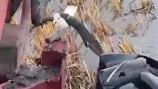 *نگاه‌کنید اجازه ردشدن نمیده ودلیلش چقدرزیباست* ببینیدولذت ببرید