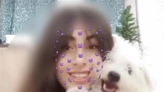 چالش تغییر تیک تاک با سگم لئو TikTok video