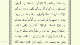 صفحه سیزدهم از جزء اول قرآن با صدای استاد محمد صدیق منشاوی