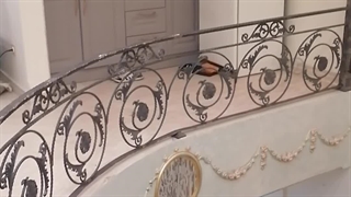 اجرای پله و نرده داخل منزل