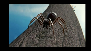 عنکبوت های پرنده