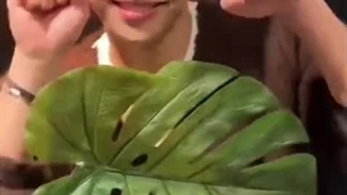 تیک تاک ام جی