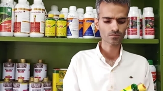 با برترین سم سوسک کش بازار از شر هرچی سوسکه راحت شو!