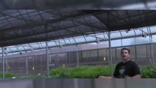 شید گلخانه ای قسمت دوم - شید صنعت